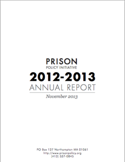 2013 Annual PPI Report