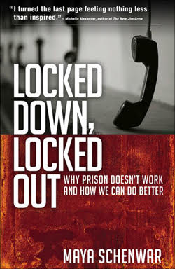 book cover for Locked Down, Locked Out