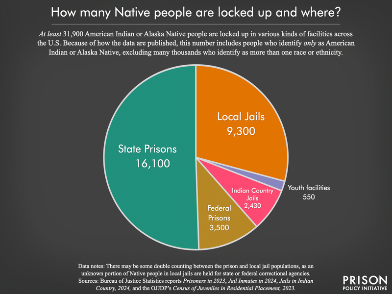 pie chart showing the bulk of incarcerated Native people are in state prisons