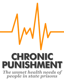chronic punishment report cover thumbnail